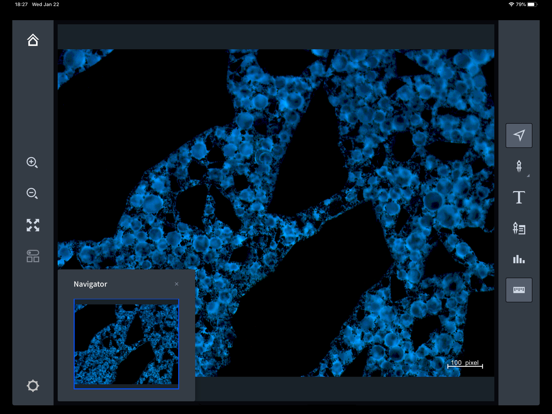 Screenshot #5 pour ZEN Data Explorer