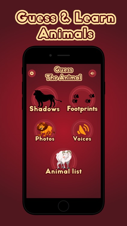 Guess The Animal - Chinese