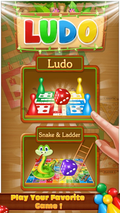 Ludo Play The Dice Game