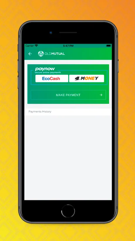 Old Mutual Insurance (Zim)