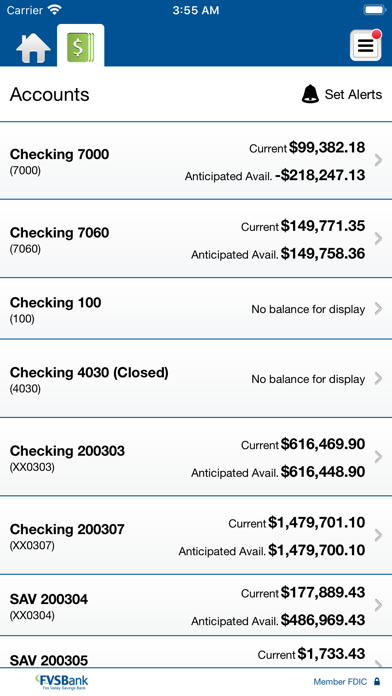 FVSBank Business Screenshot