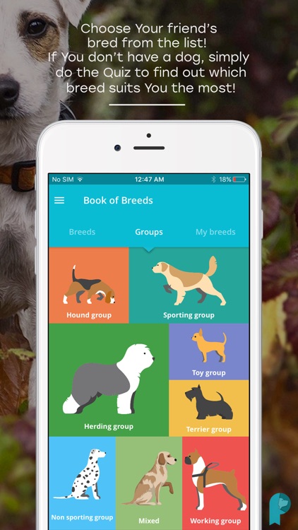 Pawer – All-In-One Dog App