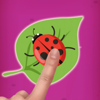 Bug Smasher Insect Game