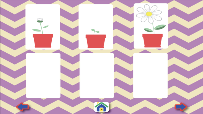 Patterns and Sequencing