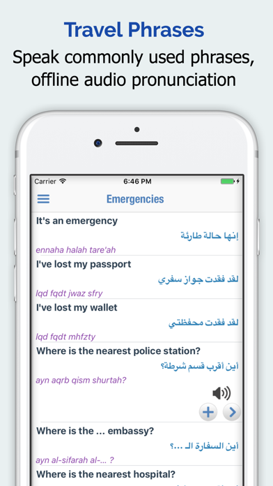 Arabic Dictionary + Screenshot