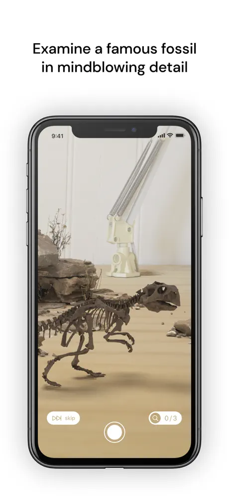 Famous Fossil