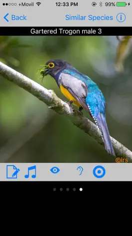 Game screenshot Belize Birds Field Guide apk