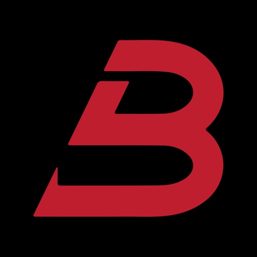 Ball Auction by Ball Auction INC