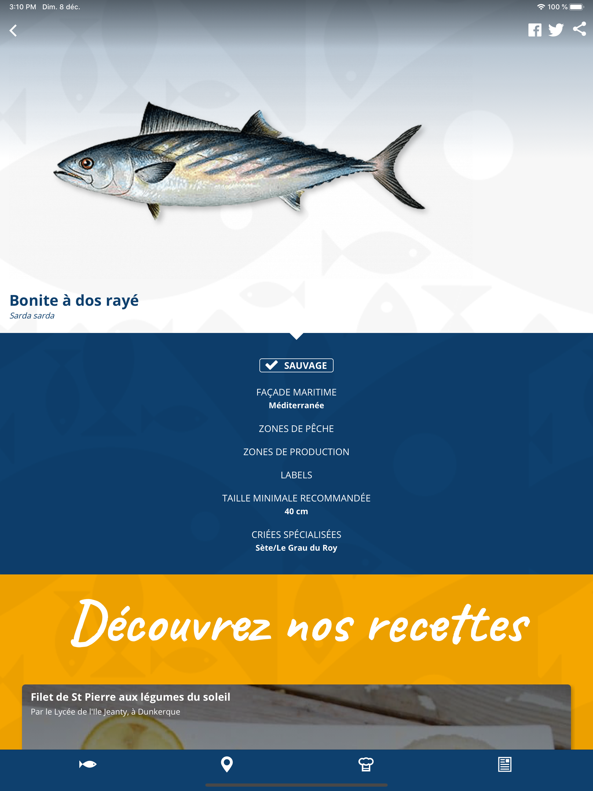 Mr.Goodfish