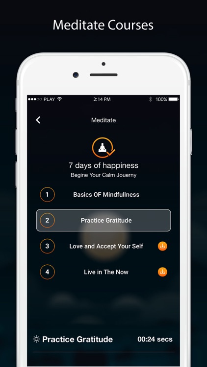Saumya - Relax Meditate Sleep