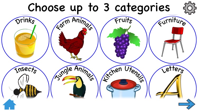 28 Categories For Kids