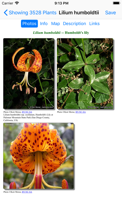 North California Wildflowers Screenshot