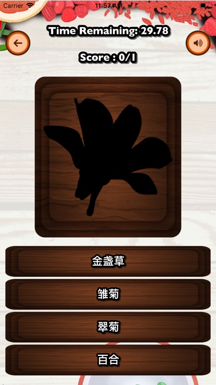 Guess Fruit Flower - Chinese screenshot-5
