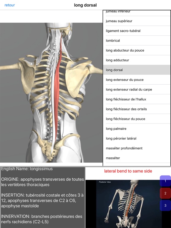 Screenshot #5 pour Anatomie Visuel