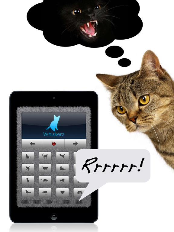 Human-to-Cat Translator screenshot