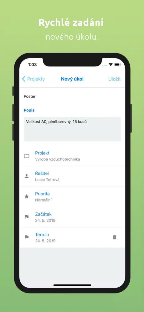 Projektově