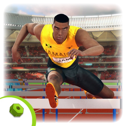 Hurdles 3D