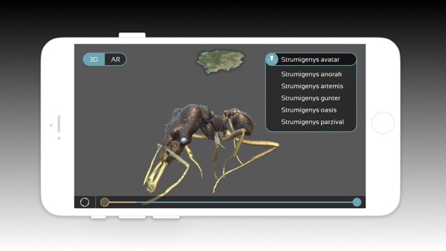 Insects3D(圖3)-速報App
