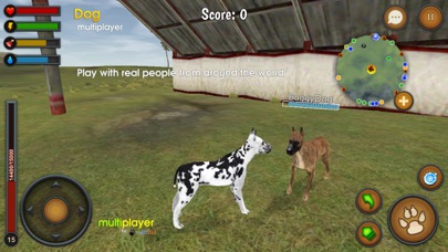 Dog Multiplayer : Great Dane Screenshot