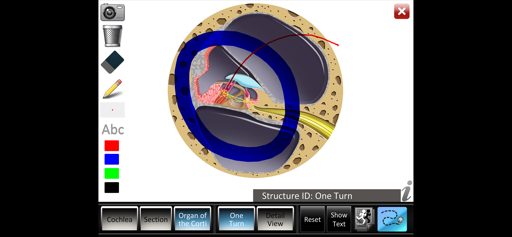 Inner Ear ID screenshot 5