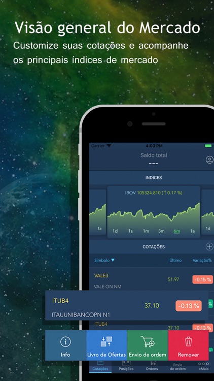 TraderEvolution Brasil