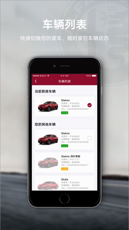 Alfa Connect screenshot-4