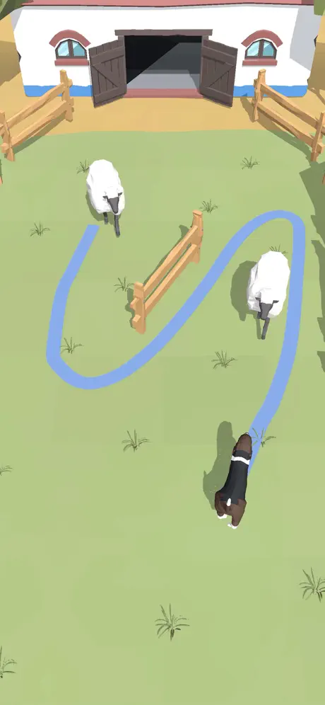 Sheepdog.