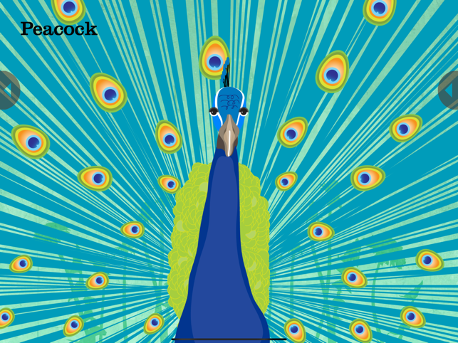 ‎Animals Sounds: Peek-a-Zoo Screenshot