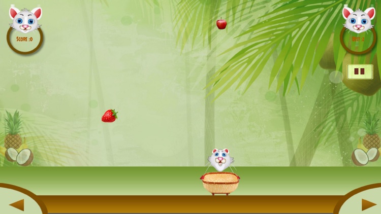 Sweet Fruits Collector