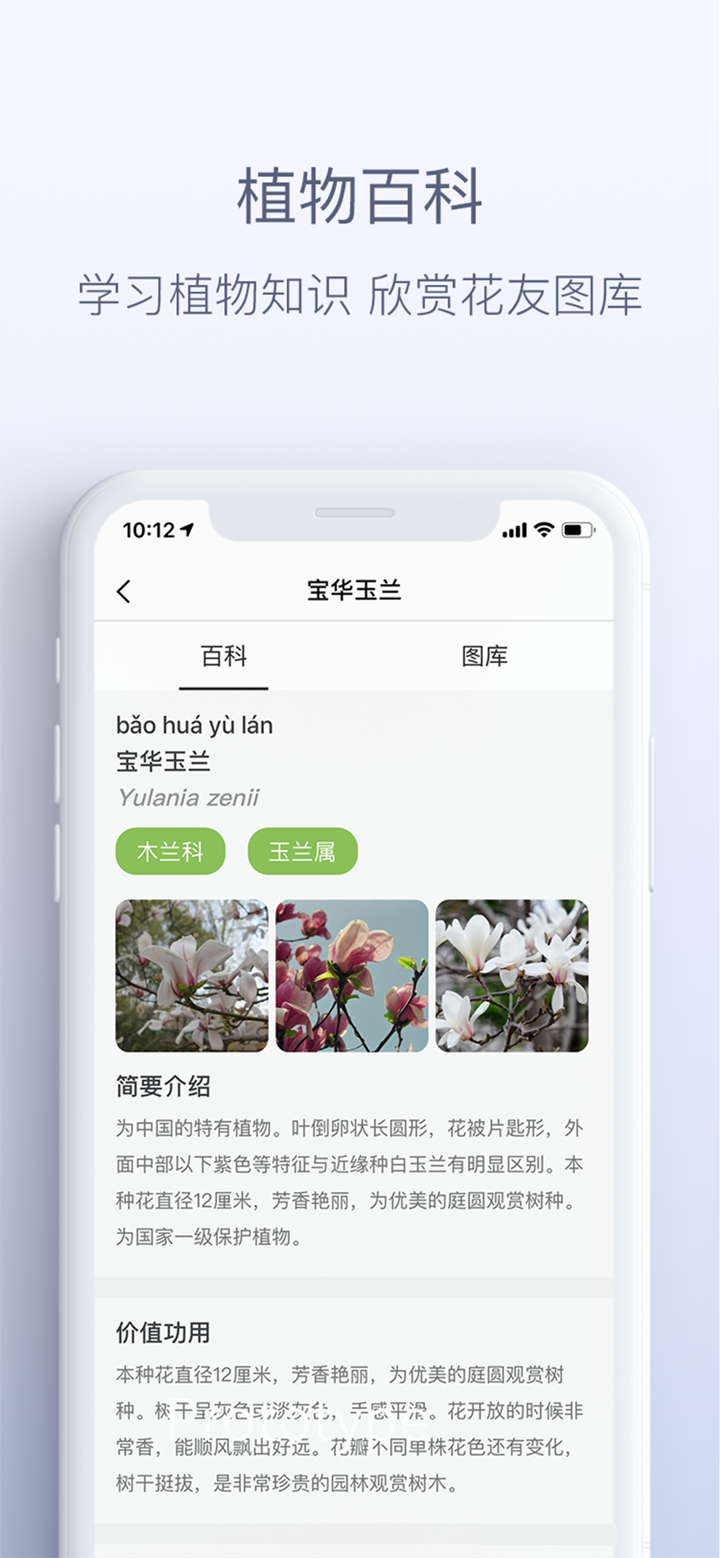 花伴侣-拍照识花精准植物识别应用 screenshot 4