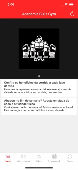 Game screenshot Academia Bulls Gym apk