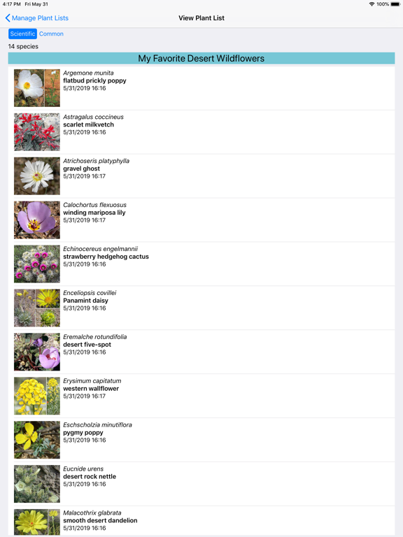 Death Valley Wildflower Search iPad screenshot 7 - Education app