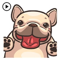 Animated Funny French Bulldog app icon - Stickers app for iPhone