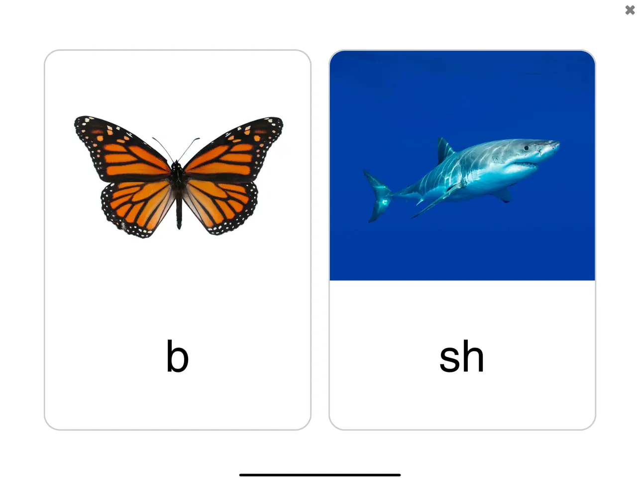 Screenshot #4 pour See and Learn Speech Sounds