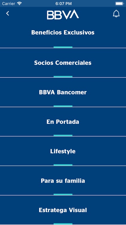 BBVA Estratega LIFE