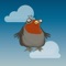 A great addictive pigeon gameplay that you won’t feel to put down