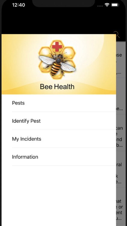 Bee Health