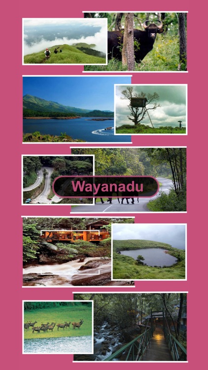 Wayanad-Pocket Tour Guide