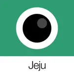 Analog Jeju App Contact