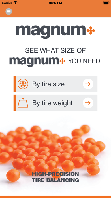 Magnum+ Tire Balancing Screenshot