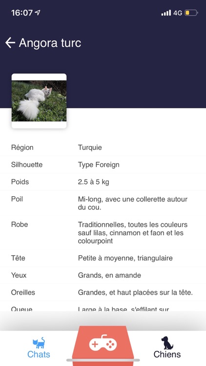 Chats & Chiens : Races et Quiz