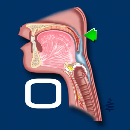 Oral Disorders Cheats