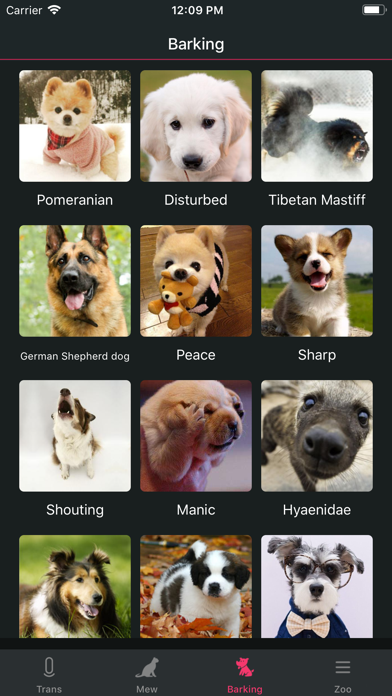 Pet translator - Cat&Dogのおすすめ画像3