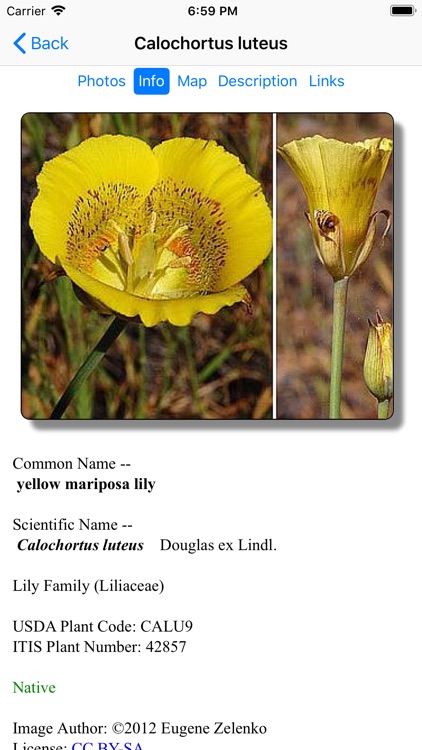 Central California Wildflowers screenshot-4