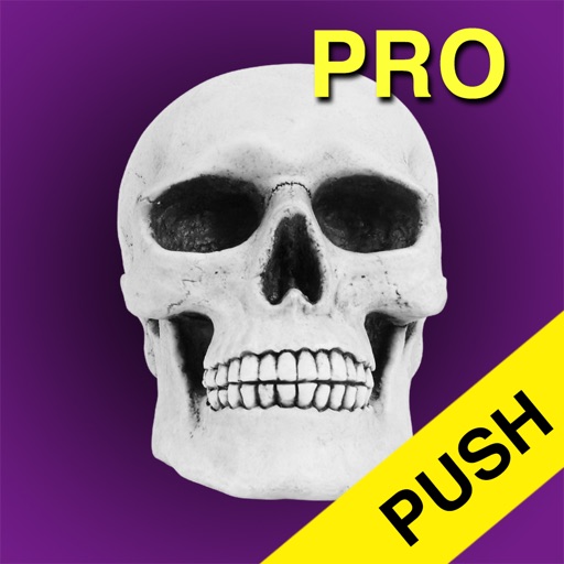 Halloween Countdown Pro Push Icon