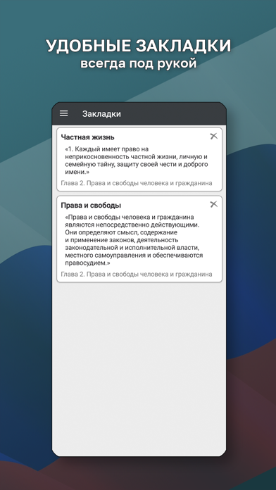 Конституция РФ. Screenshot