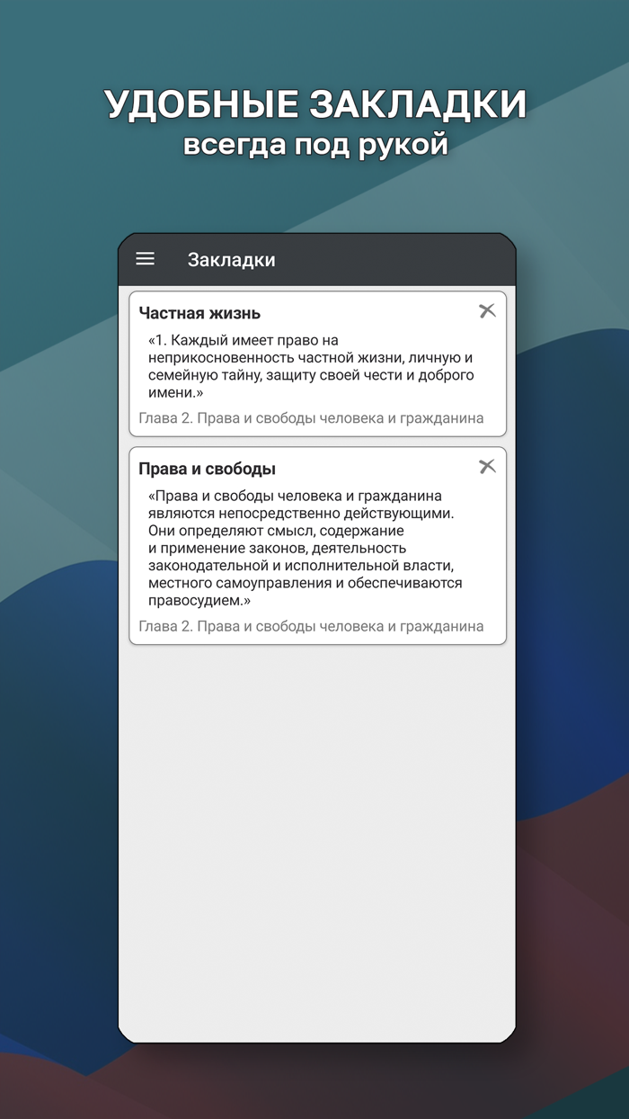 Конституция РФ.