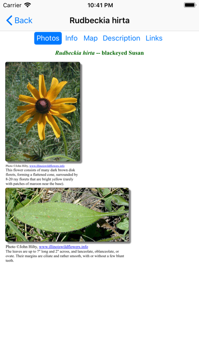 Nebraska Wildflowers Screenshot