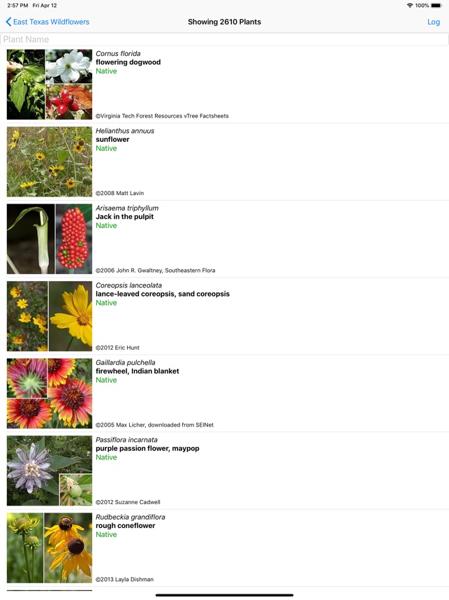 [2024] East Texas Wildflowers for iPhone / iPad, Windows PC 🔥