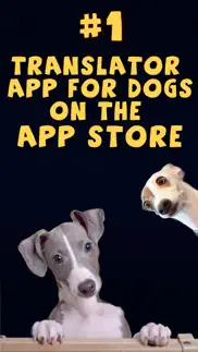 dog translator: game for dogs iphone screenshot 4